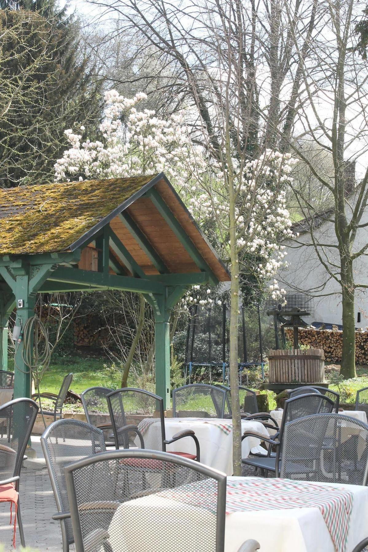 Hotel Suggenbad Waldkirch Exterior photo